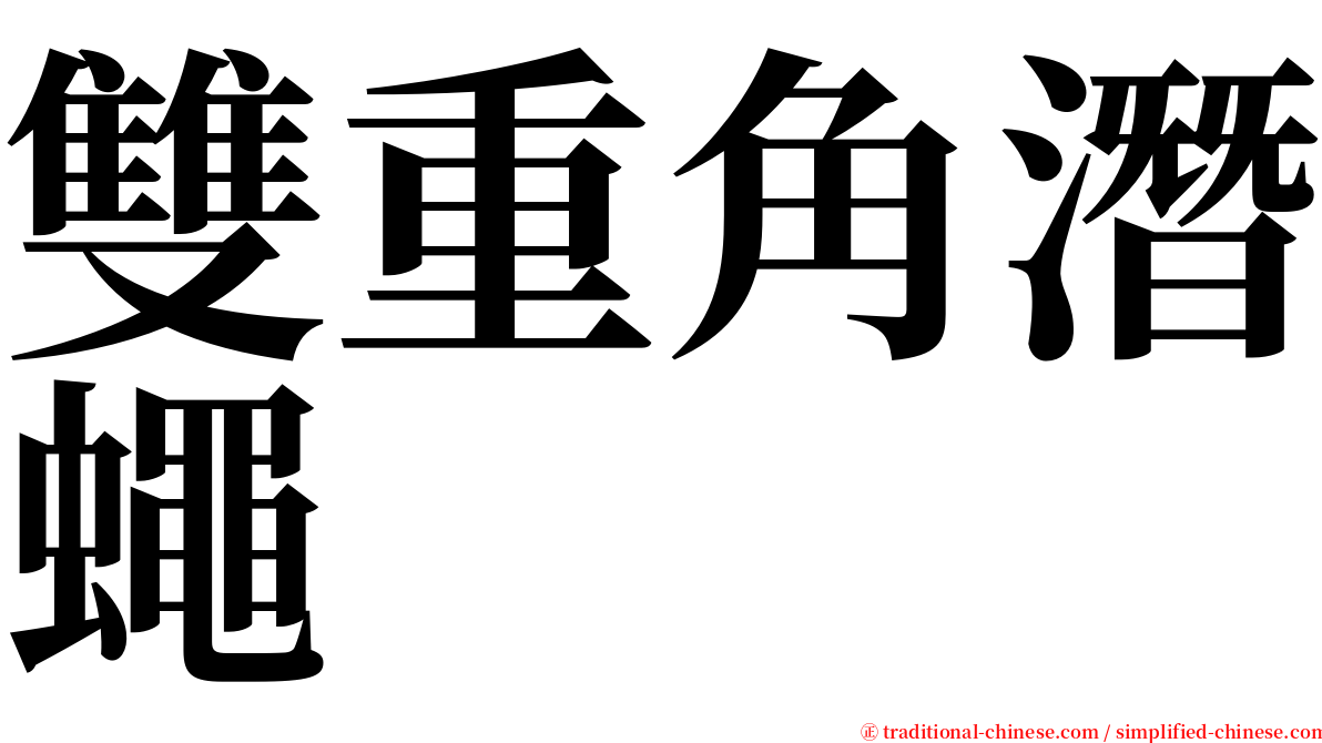 雙重角潛蠅 serif font