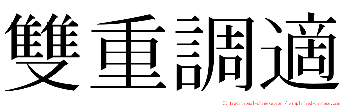 雙重調適 ming font