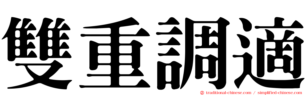 雙重調適