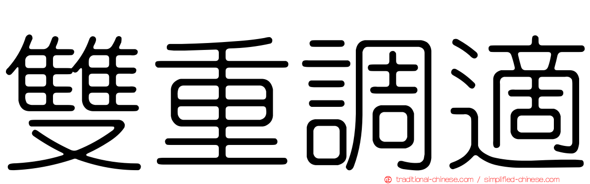 雙重調適