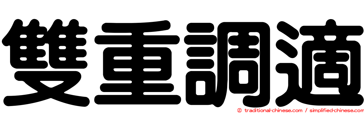 雙重調適