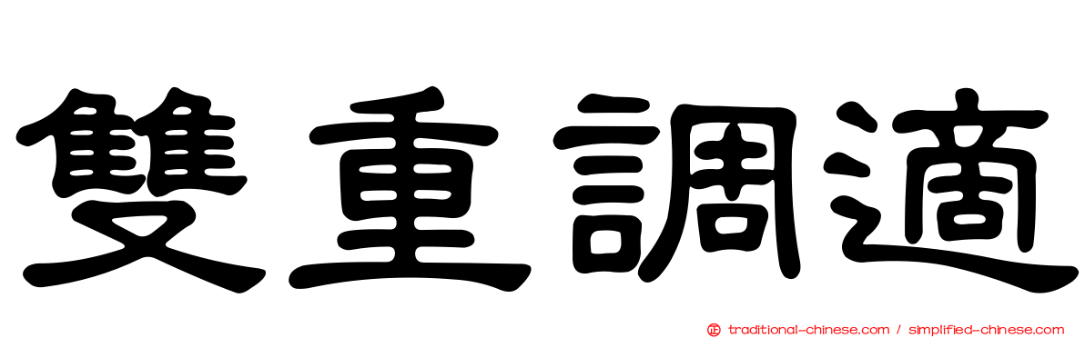 雙重調適
