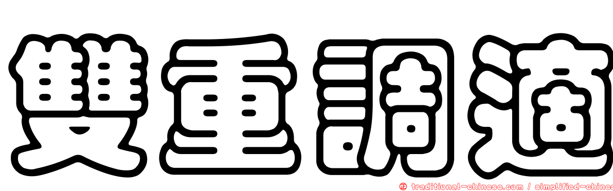 雙重調適