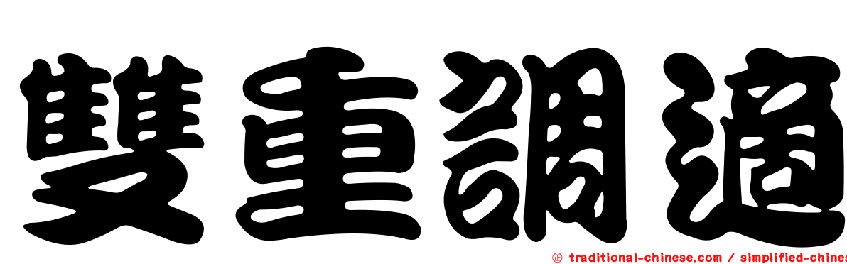 雙重調適