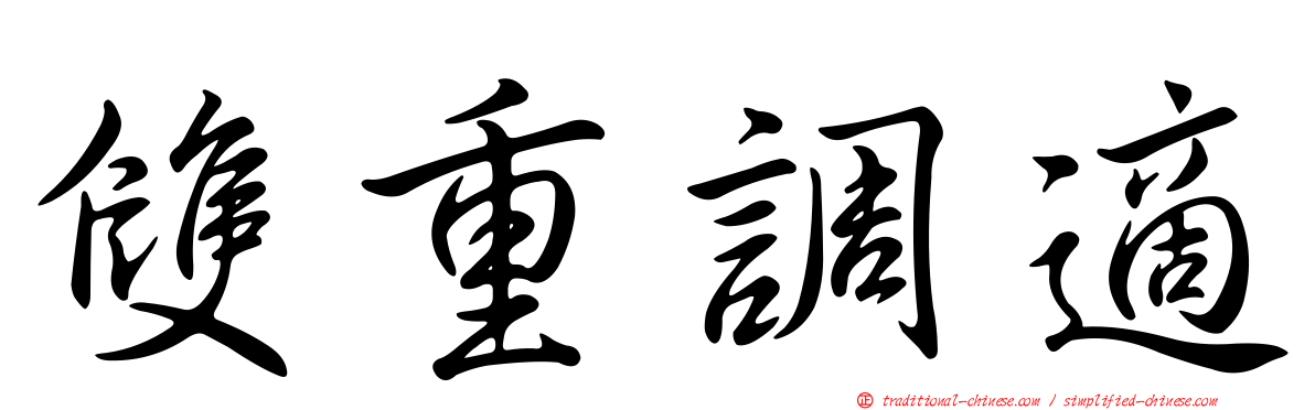 雙重調適