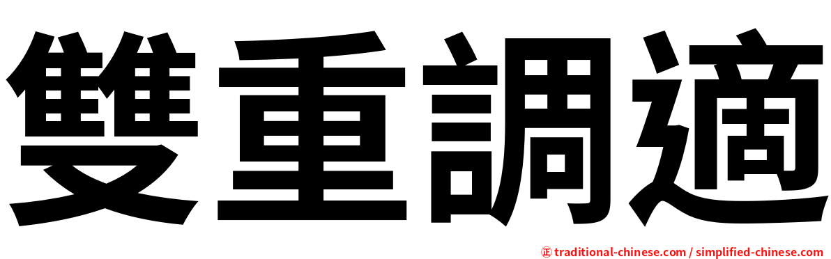 雙重調適