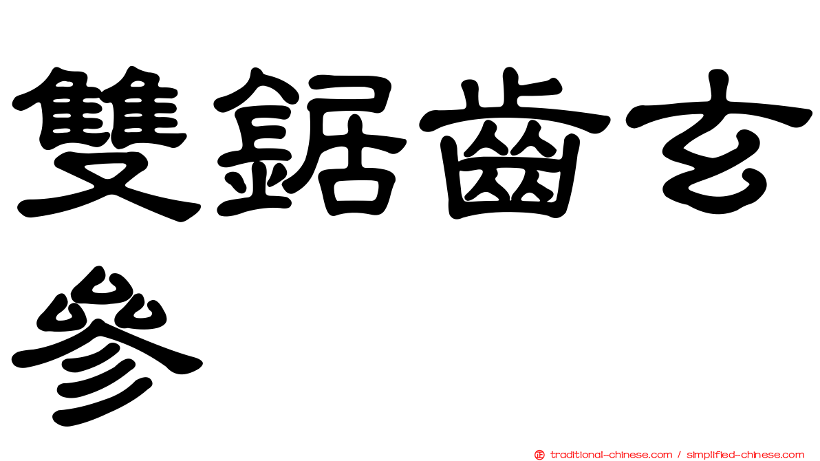 雙鋸齒玄參