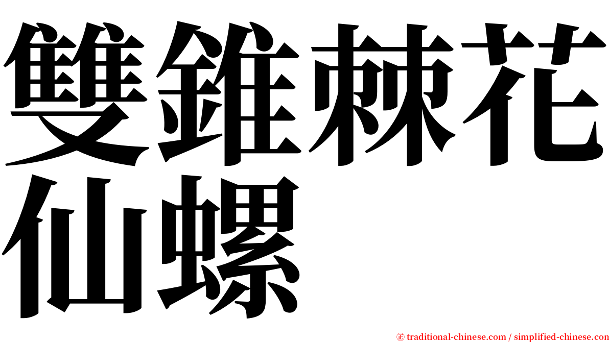 雙錐棘花仙螺 serif font