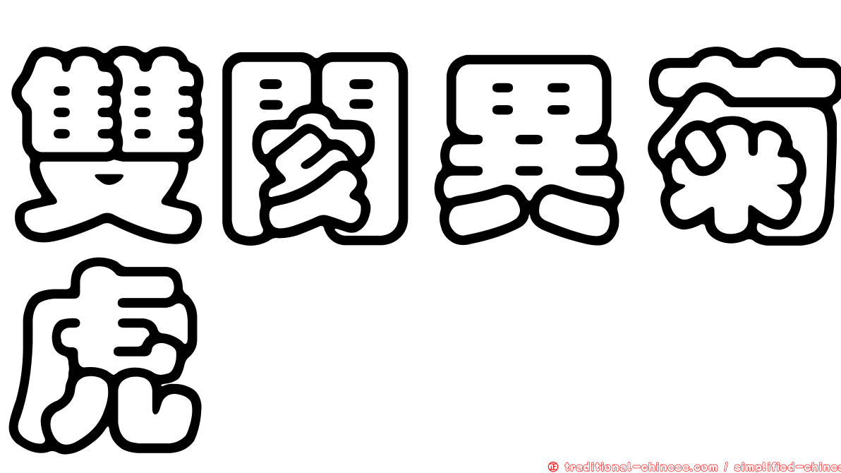 雙閡異菊虎