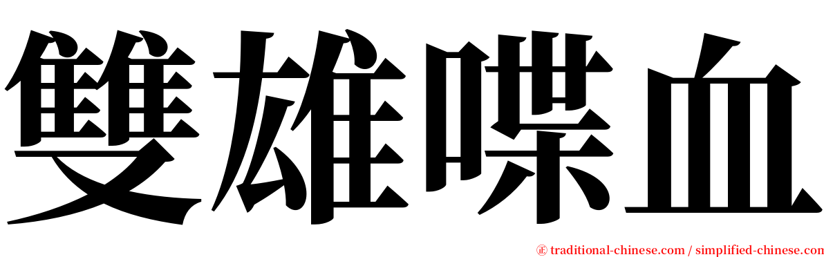 雙雄喋血 serif font