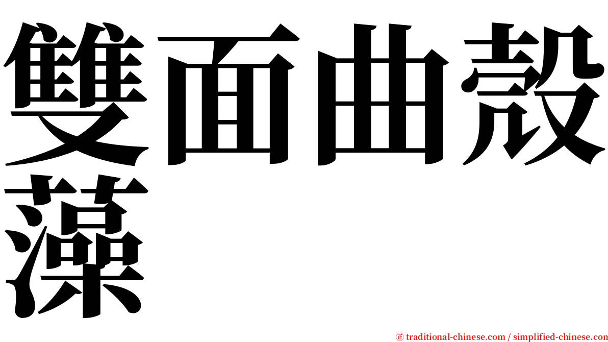 雙面曲殼藻 serif font