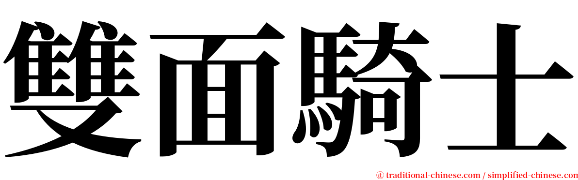 雙面騎士 serif font