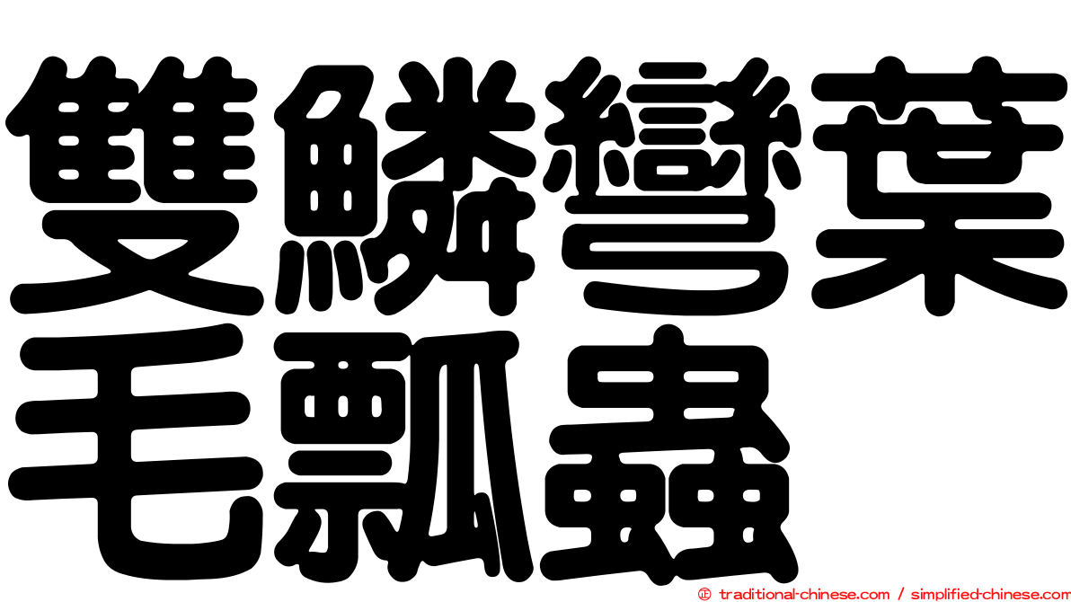雙鱗彎葉毛瓢蟲