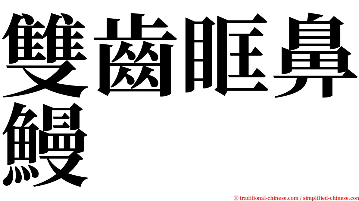 雙齒眶鼻鰻 serif font