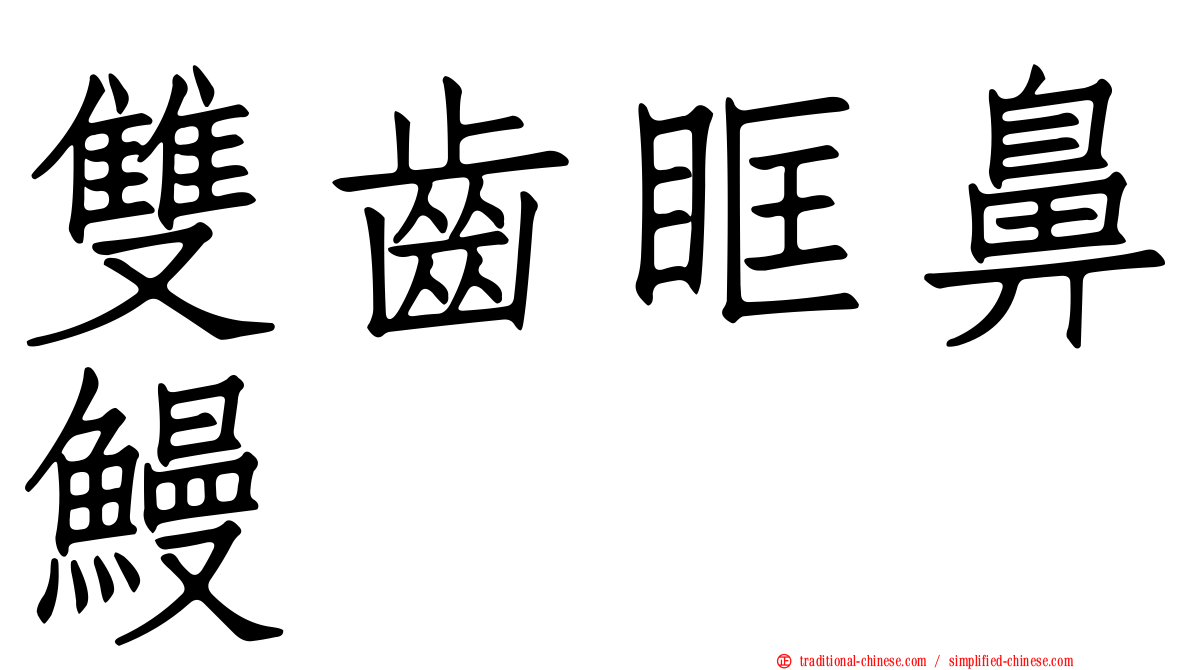 雙齒眶鼻鰻