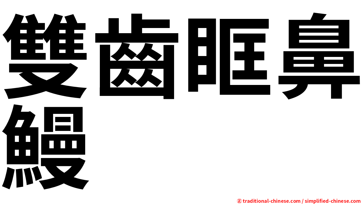 雙齒眶鼻鰻