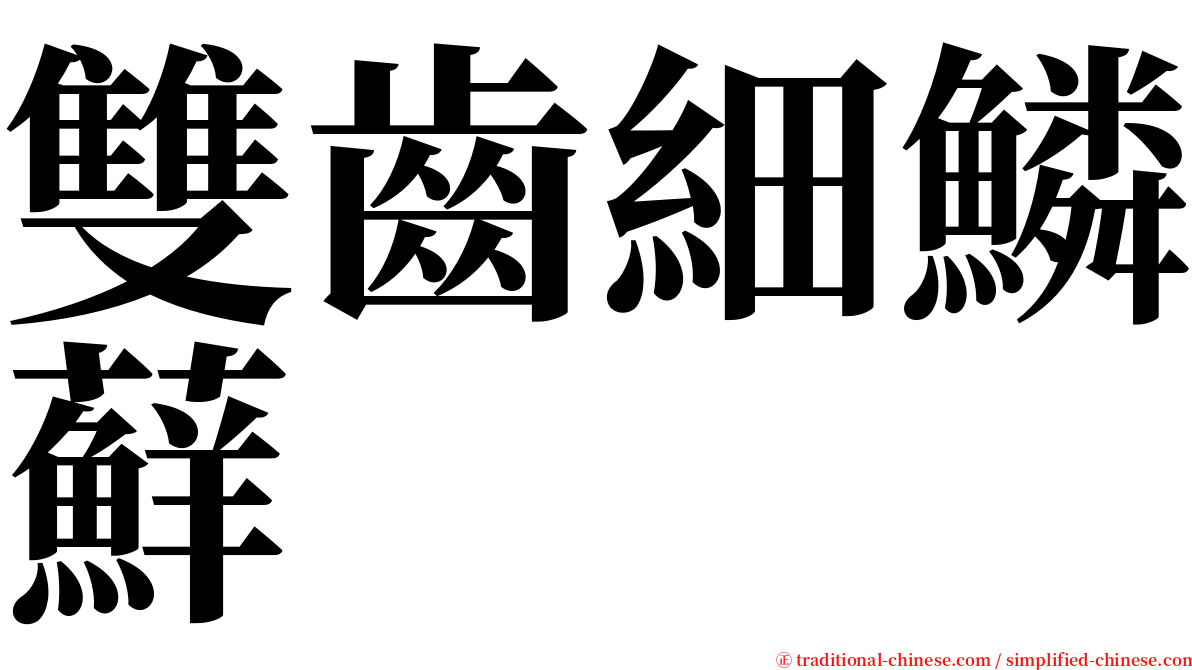 雙齒細鱗蘚 serif font