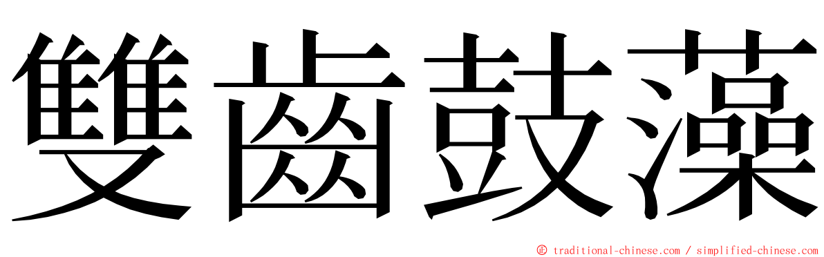 雙齒鼓藻 ming font