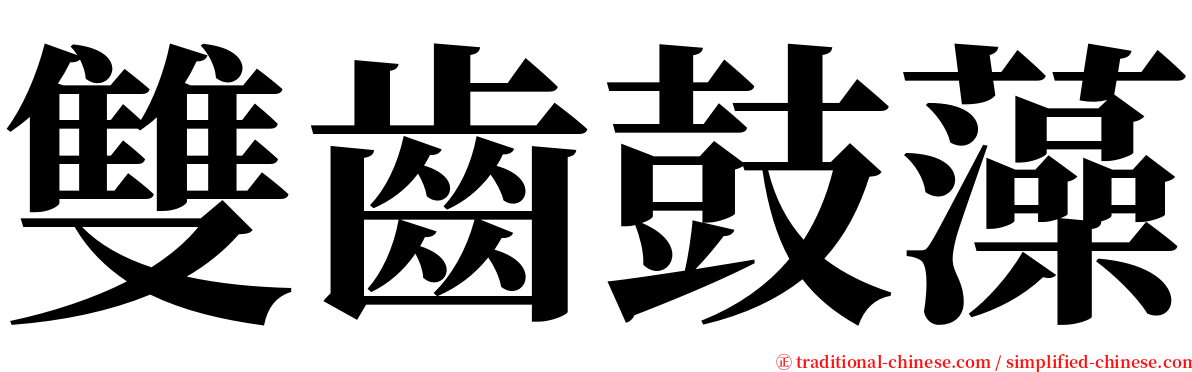 雙齒鼓藻 serif font