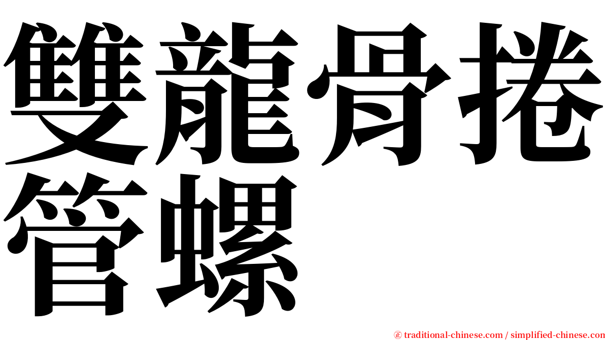 雙龍骨捲管螺 serif font