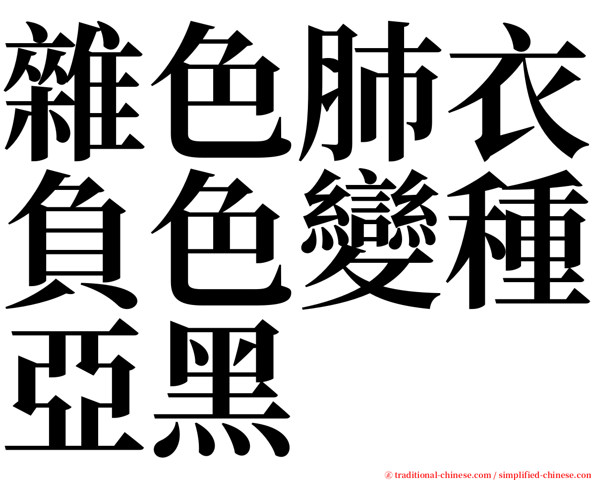 雜色肺衣負色變種亞黑 serif font