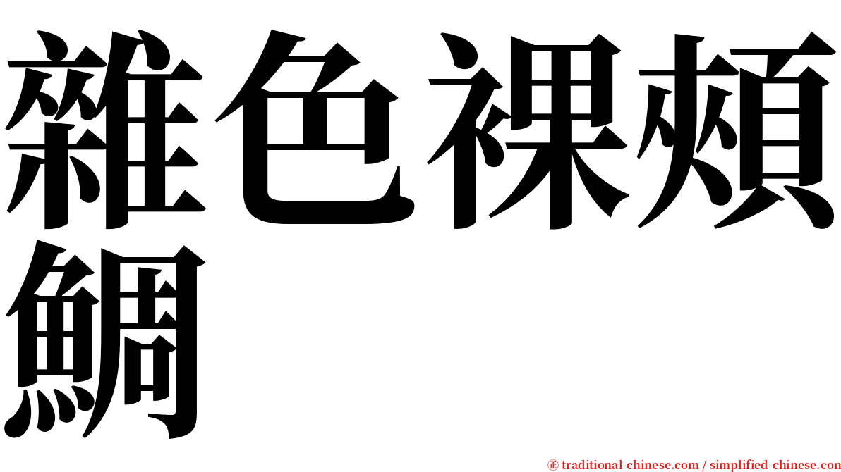 雜色裸頰鯛 serif font