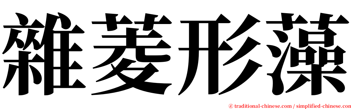 雜菱形藻 serif font