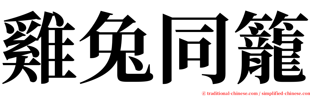 雞兔同籠 serif font