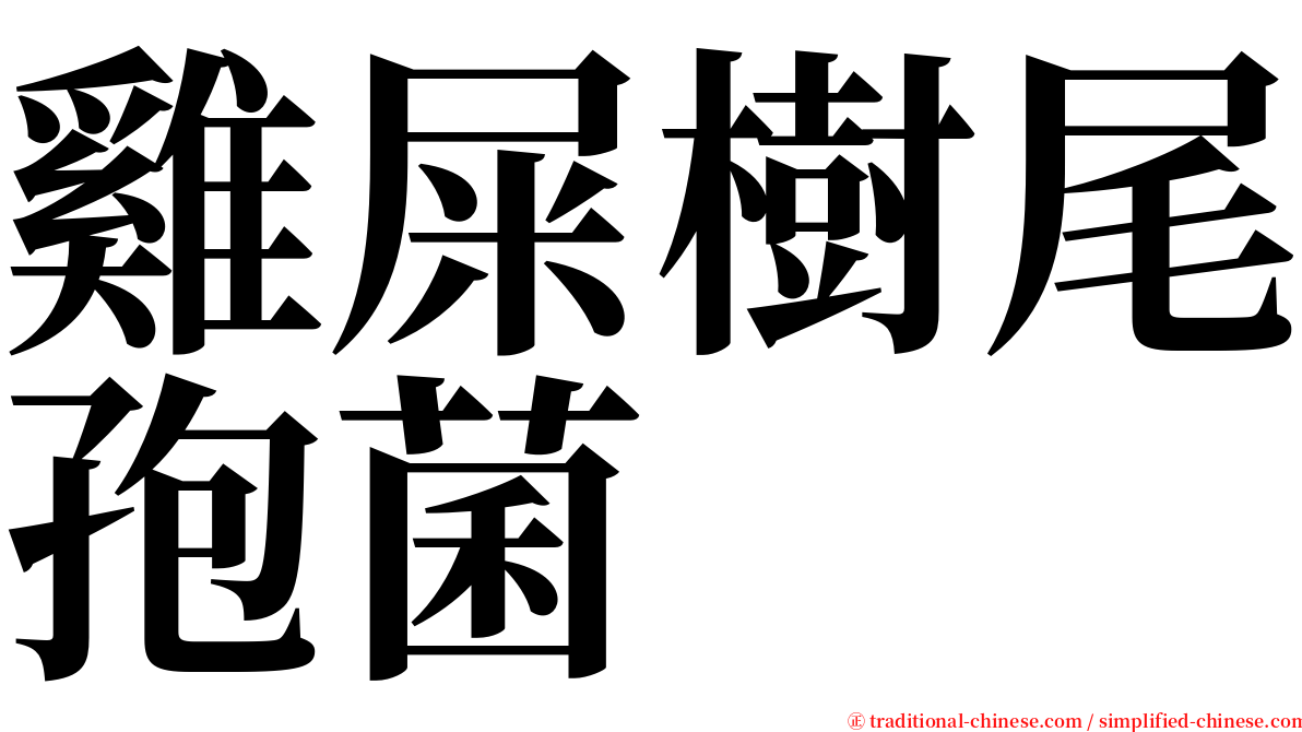 雞屎樹尾孢菌 serif font