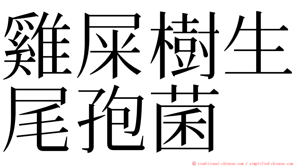 雞屎樹生尾孢菌 ming font