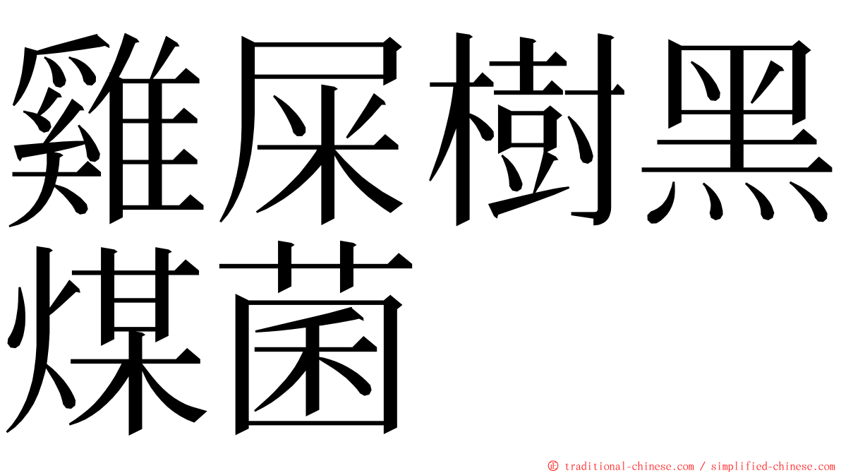 雞屎樹黑煤菌 ming font