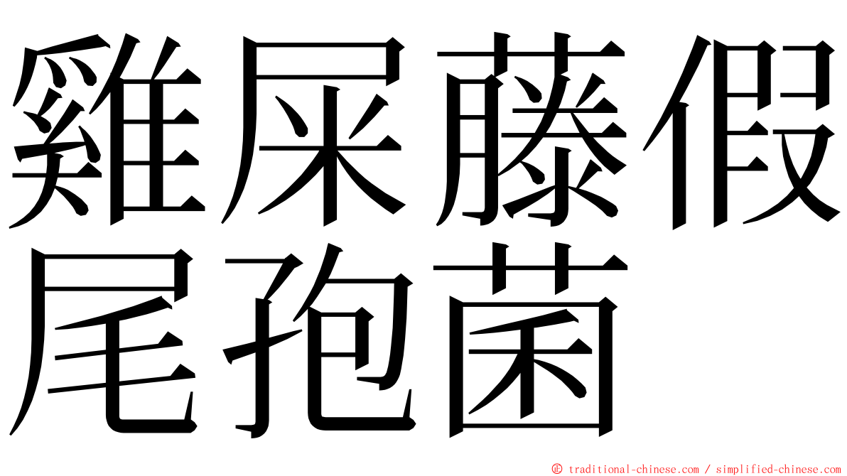 雞屎藤假尾孢菌 ming font