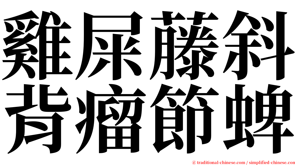 雞屎藤斜背瘤節蜱 serif font