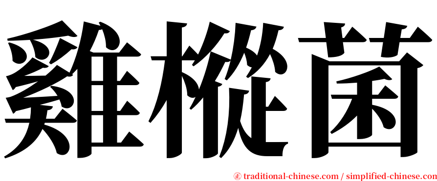 雞樅菌 serif font