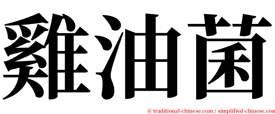 雞油菌 serif font