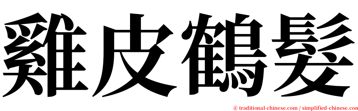 雞皮鶴髮 serif font