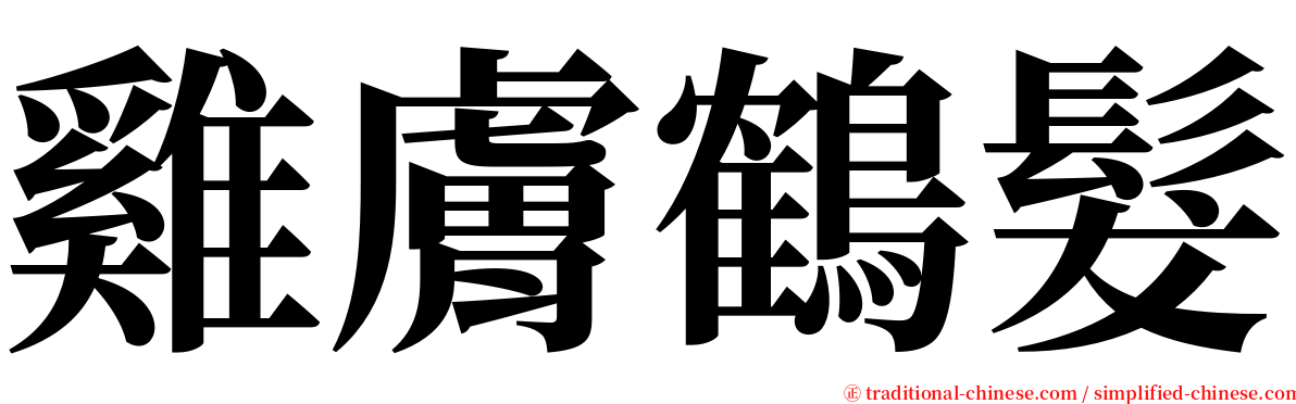 雞膚鶴髮 serif font