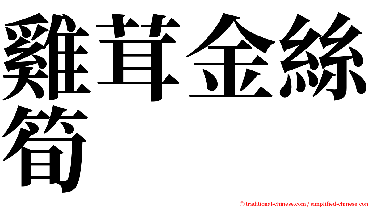 雞茸金絲筍 serif font