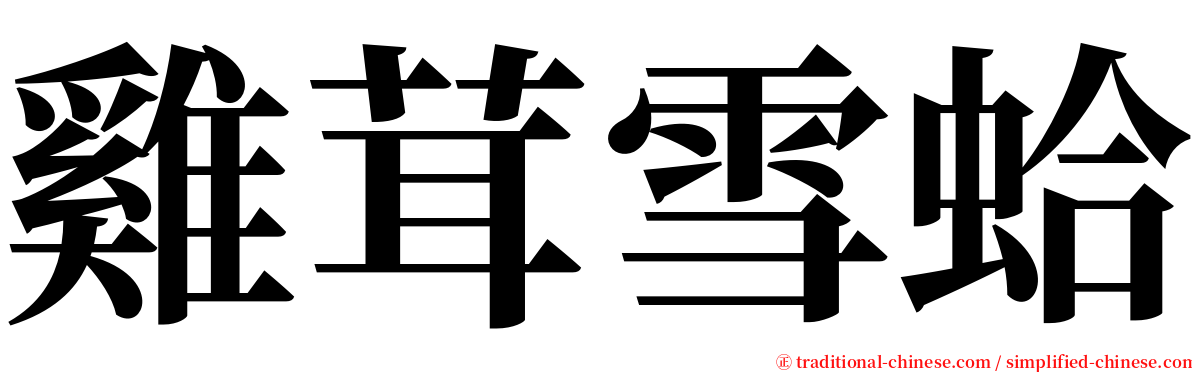 雞茸雪蛤 serif font