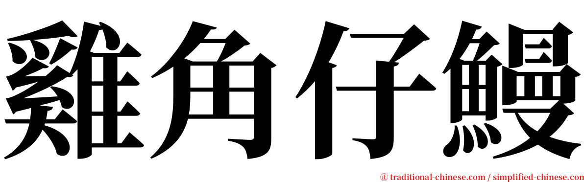 雞角仔鰻 serif font