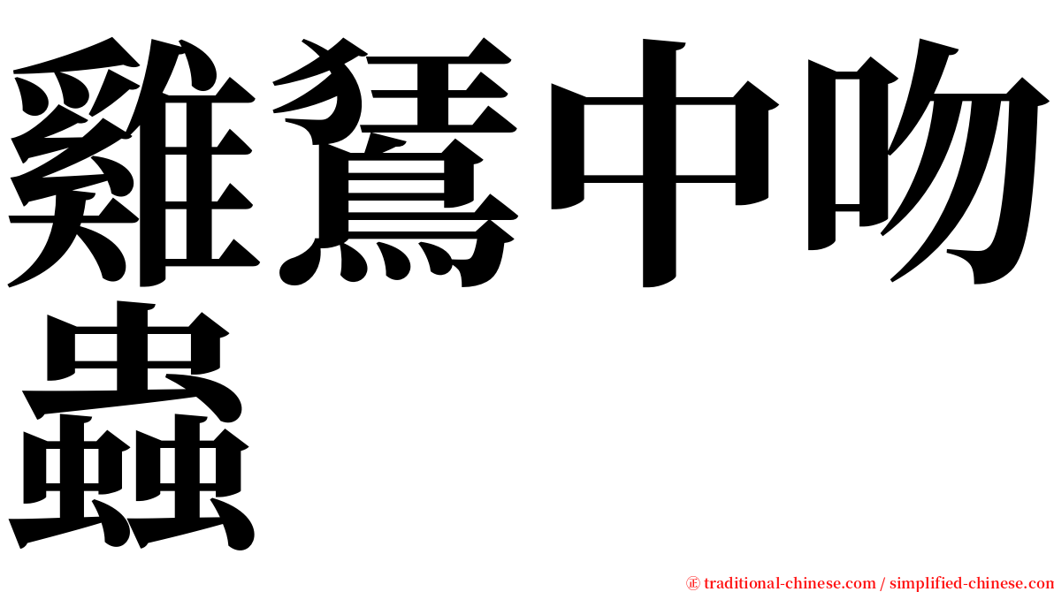 雞鵟中吻蟲 serif font