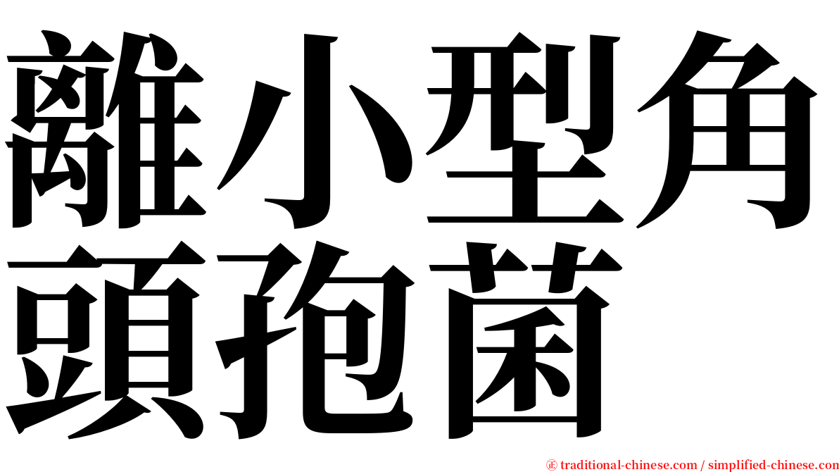 離小型角頭孢菌 serif font