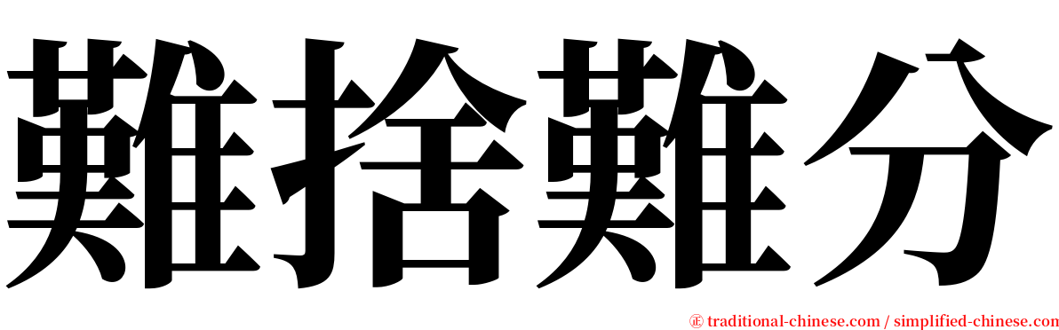 難捨難分 serif font