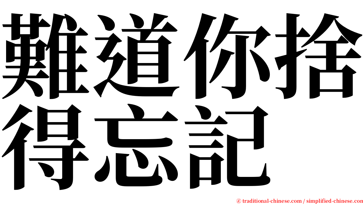 難道你捨得忘記 serif font