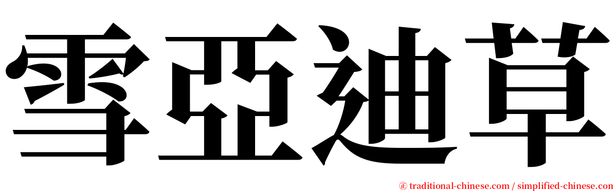 雪亞迪草 serif font