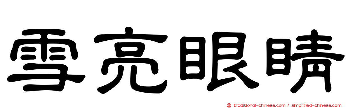 雪亮眼睛