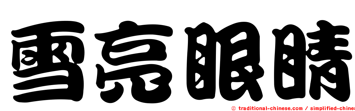 雪亮眼睛