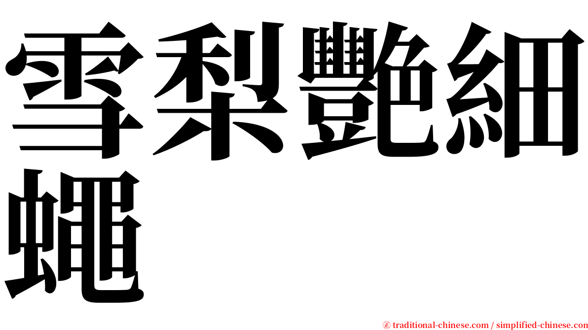 雪梨艷細蠅 serif font