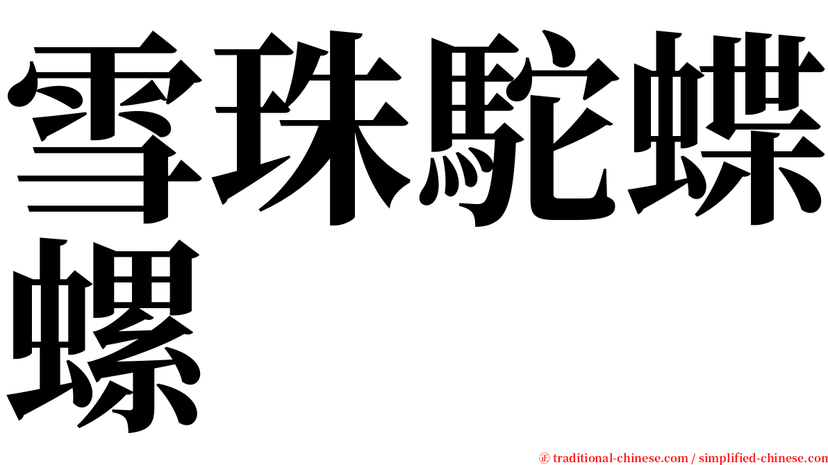 雪珠駝蝶螺 serif font