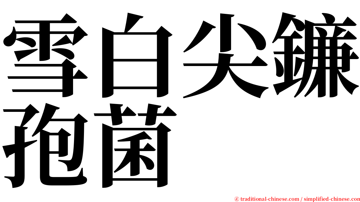 雪白尖鐮孢菌 serif font